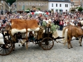 Dathe-Lößnitz-2