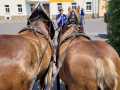 5-Grosser-Festumzug-los-gehts